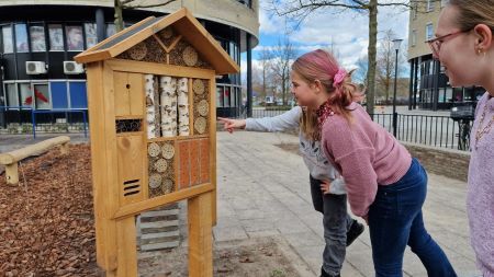 Groen schoolplein
