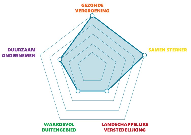 Afbeelding van een spinnenweb. Deze geeft ontwikkelrichting per gebied aan. Meer uitleg in de tekst.