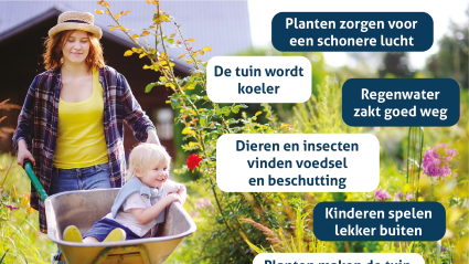 Operatie Steenbreek
