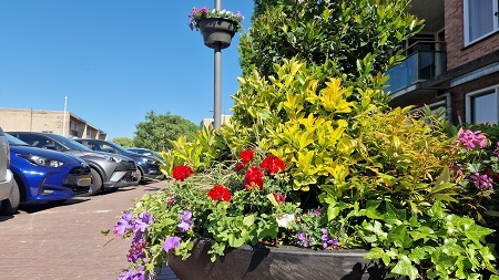plantenbak en hanging baskets website