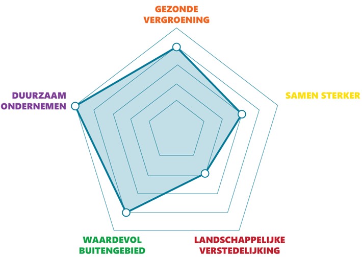 Afbeelding van een spinnenweb. Deze geeft ontwikkelrichting per gebied aan. Meer uitleg in de tekst.
