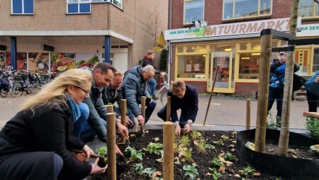 Koninginneweg_Vergroening_Plantmoment