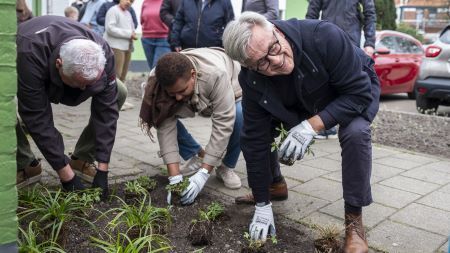 Operatie Steenbreek