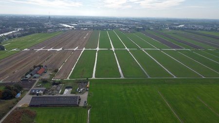 Afbeelding omgevingsplan Gnephoek