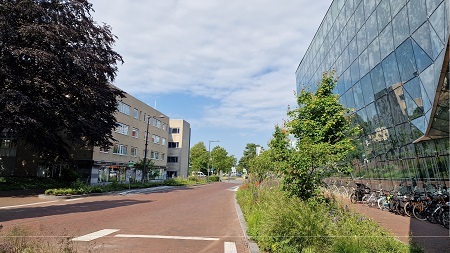 Weg richting centrum 16x9